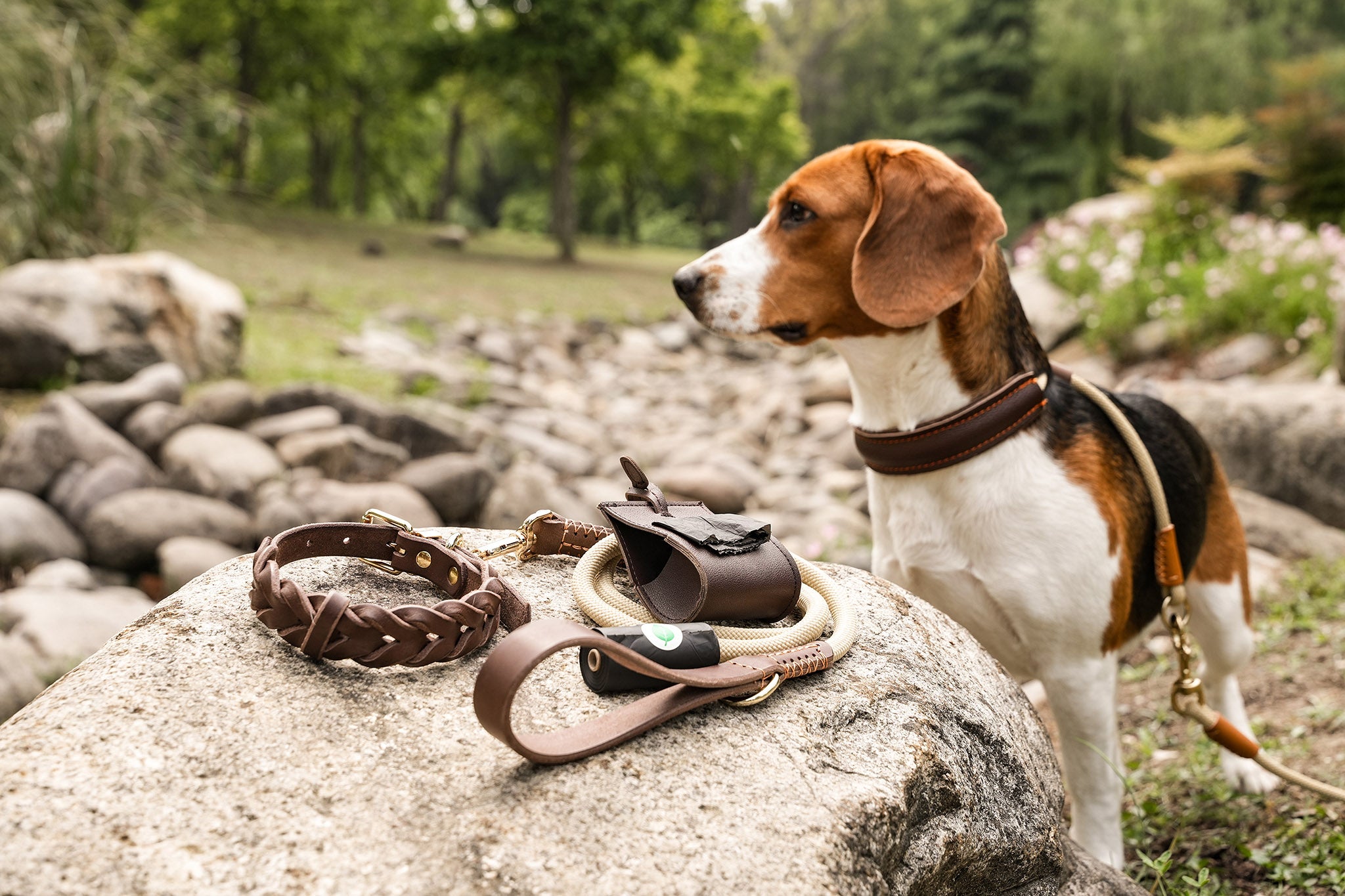 Everyday Walk Set with braided leather collar, walk leash, waste bag dispenser, and refill rolls.