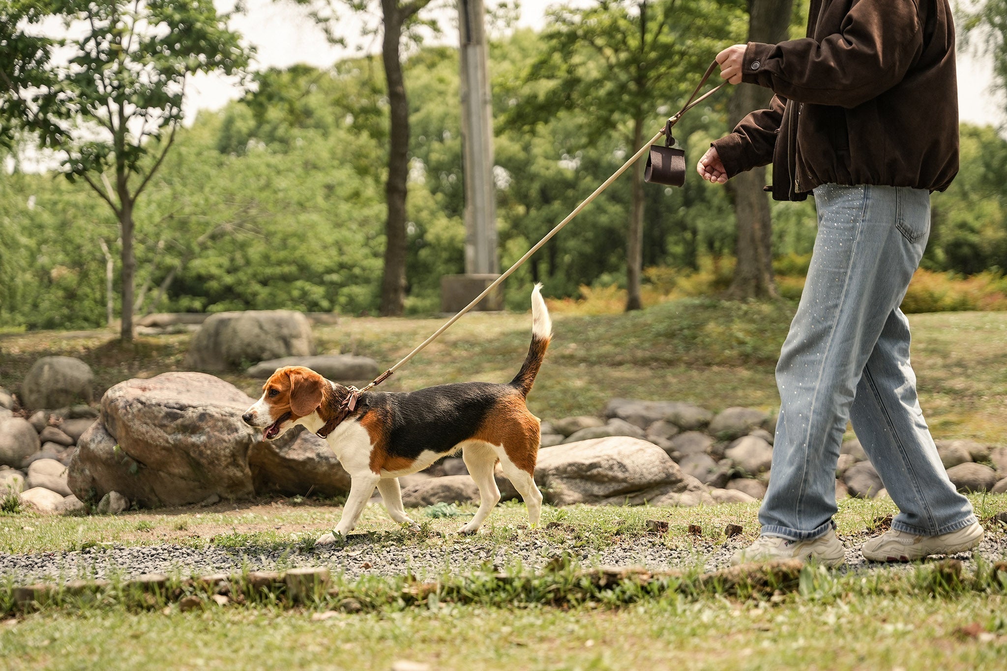 First dog walk essentials with collar, leash, waste bag holder, and dog ID tag